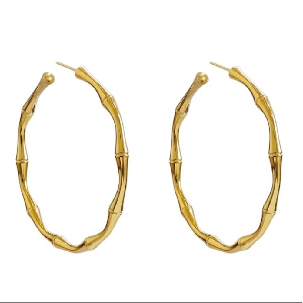 🌙Insta bamboo shape hoop earrings - Picture 4 of 5